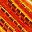 Orange Silver Lined