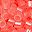 Coral Neon