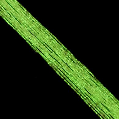 Cylin Bead 11/0 Glass Cylindrical Glow in Dark with AB Coating Seed Beads 23g Hank