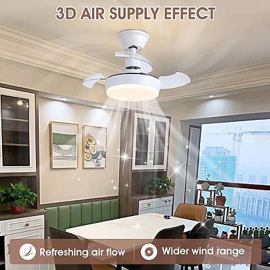 24 Inch Retractable Ceiling Fan,Low Profile LED Light, Quiet DC Motor, Remote for Small Rooms