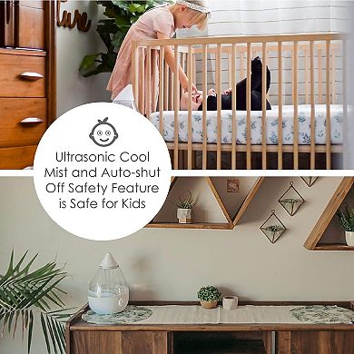 Drop Cool-Mist Humidifier, 1 Gal.