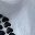 White Black