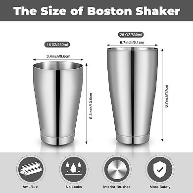 6-Piece Stainless Steel Boston Cocktail Shaker Set, 18oz & 28oz