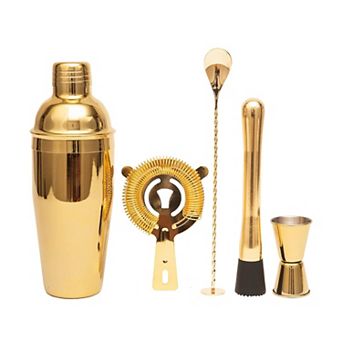 5 pc Stainless Steel Cocktail Shaker Set for Bartenders & Home Use
