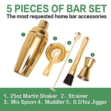 5-Piece Stainless Steel Cocktail Shaker Set for Bartenders & Home Use