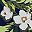 Sea Blue Floral