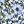 Blue Floral Blossom