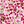 Ivory Pink Flower