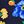 Navy Poppy Floral