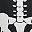 Skeleton