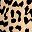 Leopard Print