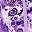 Floral Purple
