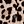 Khaki Leopard