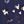 Navy Blue Gray