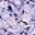 Purple Floral