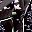Black Floral