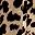 Leopard Print