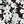 Dot Black Floral