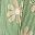 Green Floral