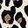 Brown Print