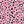 Pink Leopard