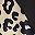 Brown Leopard