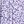 Purple Flowers