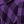 Purple Black