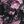 Black Purple Print
