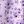 Purple Flower