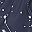 Navy Star