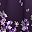 Purple Flower