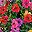 Color Mixing