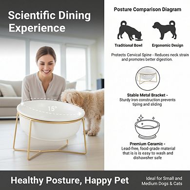 White Elevated Ceramic Cat Bowl, Tilted Design with Gold Iron Stand Pet Dish