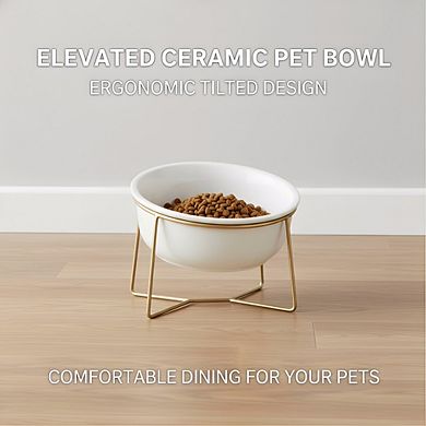 White Elevated Ceramic Cat Bowl, Tilted Design with Gold Iron Stand Pet Dish