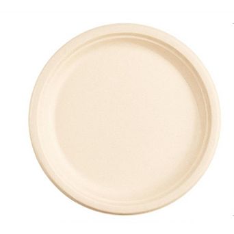 9 Inch 125 Pack Compostable Paper Plates, Duty Disposable Plates, for Party, Camping, Picnic