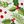 Boughs Of Holly