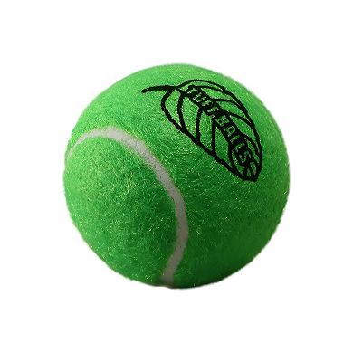 Petsport USA Tuff Mint Balls Dog Toy 2 Count