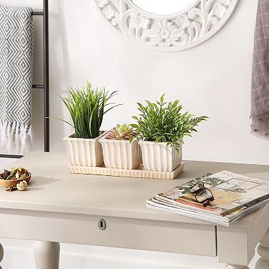 Zingz Home Square Ceramic Herb Planter Set of 3