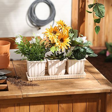 Zingz Home Square Ceramic Herb Planter Set of 3