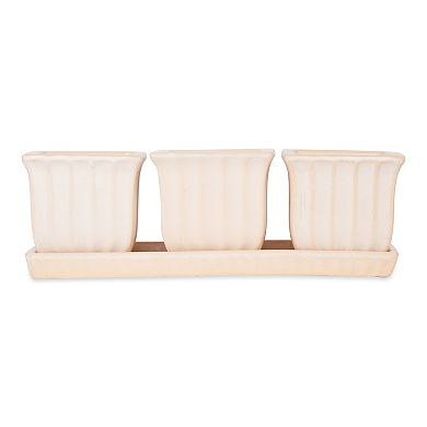Zingz Home Square Ceramic Herb Planter Set of 3