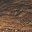 Rustic Brown