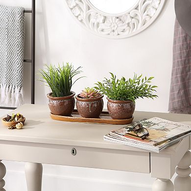 Zingz Home Round Ceramic Herb Planter Set of 3