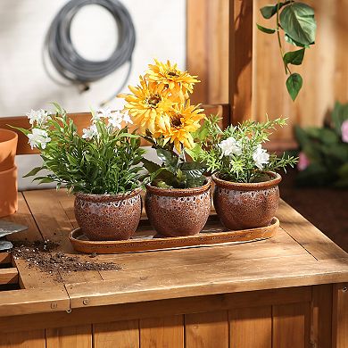 Zingz Home Round Ceramic Herb Planter Set of 3