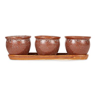 Zingz Home Round Ceramic Herb Planter Set of 3