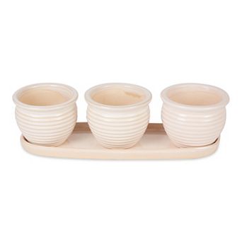 Zingz Home Round Ceramic Herb Planter Set of 3