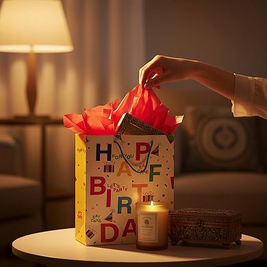 12 Pcs Birthday Gift Bags with Handle Tissue Paper Assorted Sizes Large Medium Small 13 9 Inch