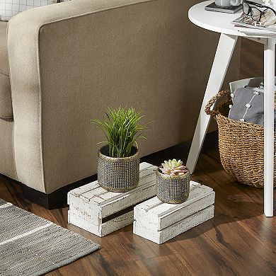 Zingz Home Modern Metallic Cement Flower Pot Set of 2