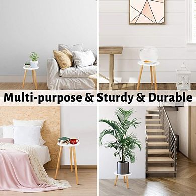Great Ambitions Mid Century Wood Plant Stand, Modern Round Side Table