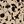 Khaki Black